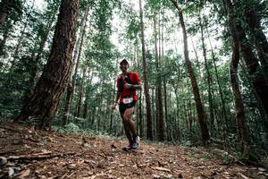 BIB: 
                            <button type="button" onclick="openModal(25261383)" class="btn btn-primary btn-sm float-right btn-popup" data-toggle="modal" data-target=".modal-high-quality">
                        <i class="fas fa-shopping-cart"></i> Add to Cart
                    </button>
                                            <button type="button" onclick="isThisMe(25261383, true)" class="btn btn-success btn-sm float-right btn-popup btn-isme hidden" data-toggle="tooltip" data-placement="bottom" title="นี่คือรูปของคุณใช่ไหม คลิกที่นี่เพื่อเอาเข้าอัลบั้ม">
                        <i class="fas fa-plus"></i> Add to album
                    </button>
                    <button type="button" onclick="isThisMe(25261383, false)" class="btn btn-warning btn-sm float-right btn-popup btn-isnotme hidden">
                        <i class="fas fa-ban"></i> Remove from album
                    </button>